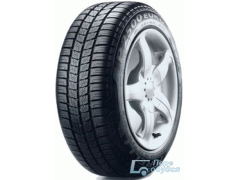 Шины Pirelli P2500