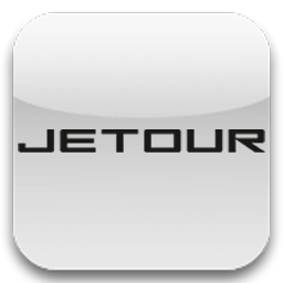  Датчики TPMS на Jetour