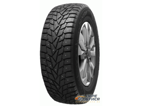 Шины Dunlop SP_Winter_Ice_02