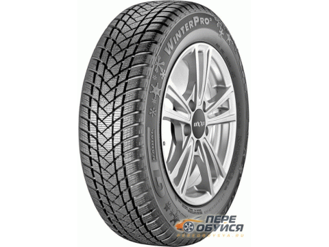 Шины GTRadial Champiro_WinterPro_2